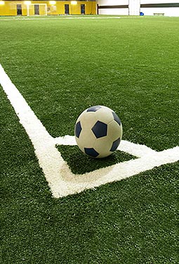 運(yùn)動(dòng)草坪
